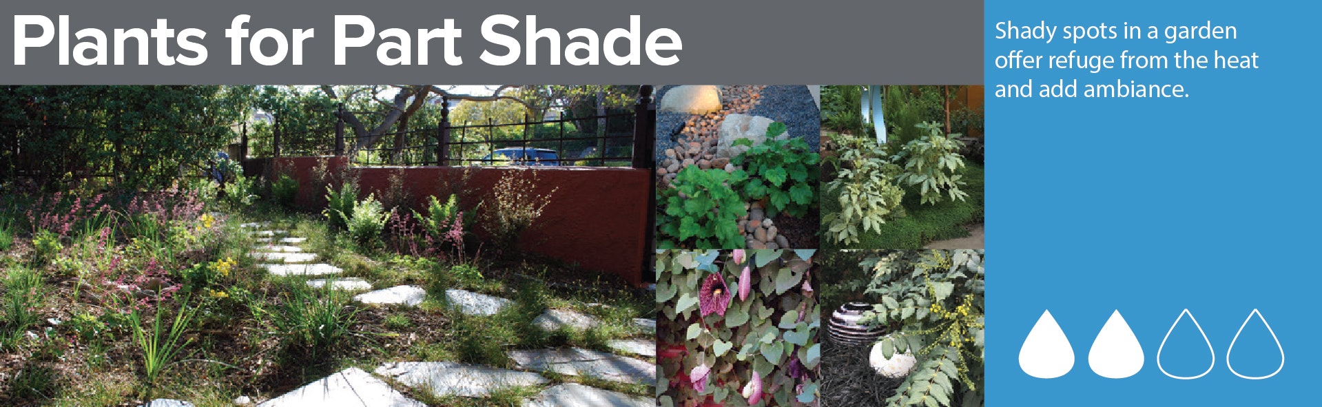 Garden design with text about plants for part shade, featuring images of plants and a shaded garden path.