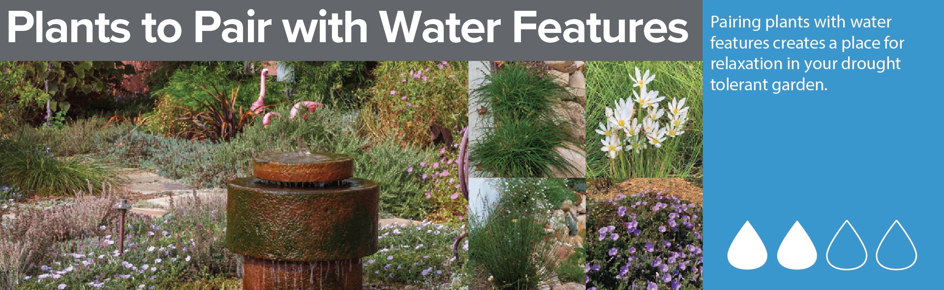 Garden with water feature, plants, and text advising pairing for drought tolerance and relaxation.