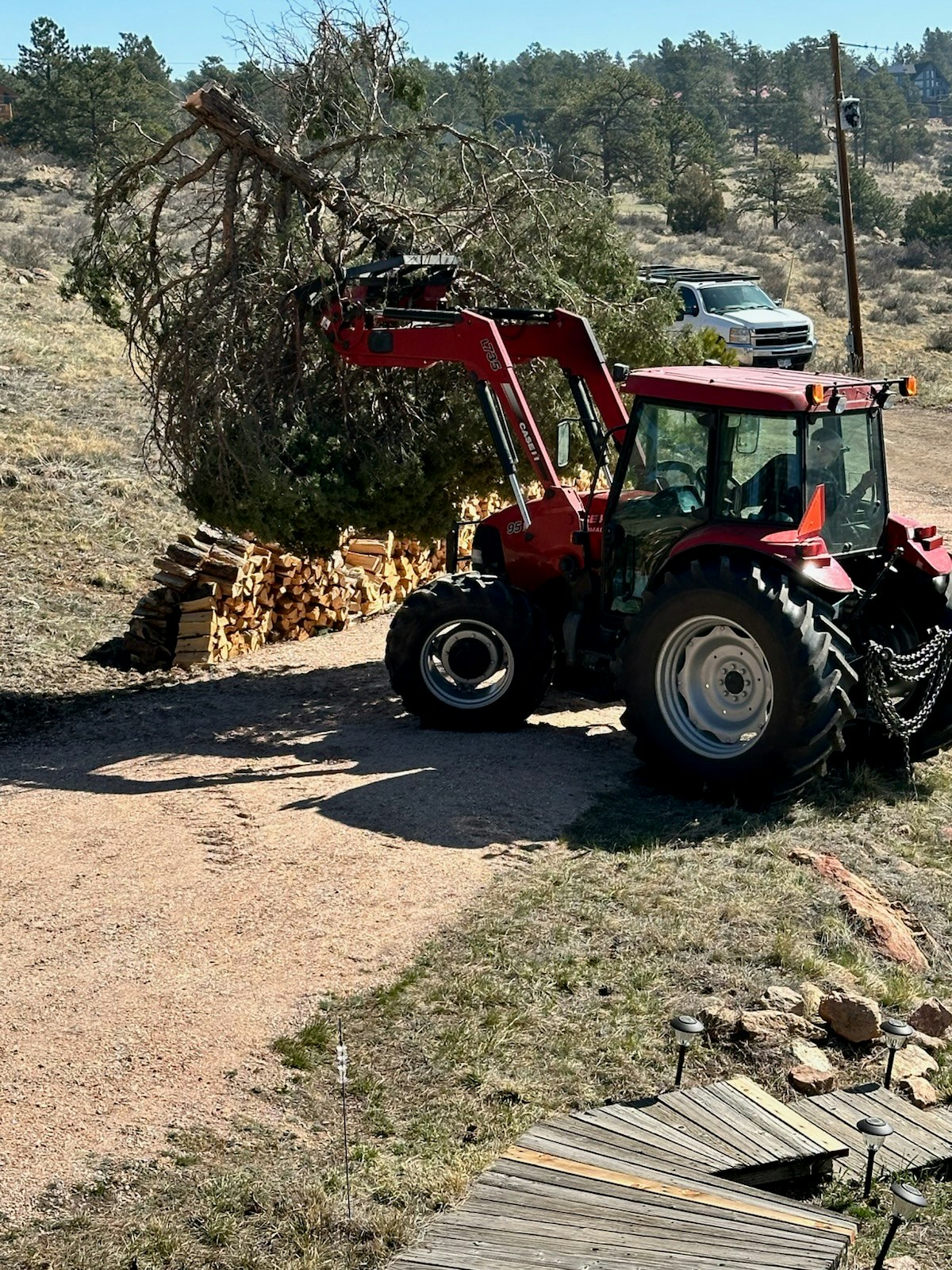 A red tractor lifts a fallen tree near stacked firewood, with a truck and grassy landscape in the background.