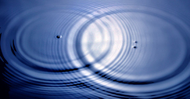 Concentric ripples in water, likely from droplet impacts.