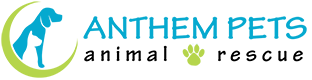 Silhouette of a dog and cat, "ANTHEM PETS" text, with a paw print.