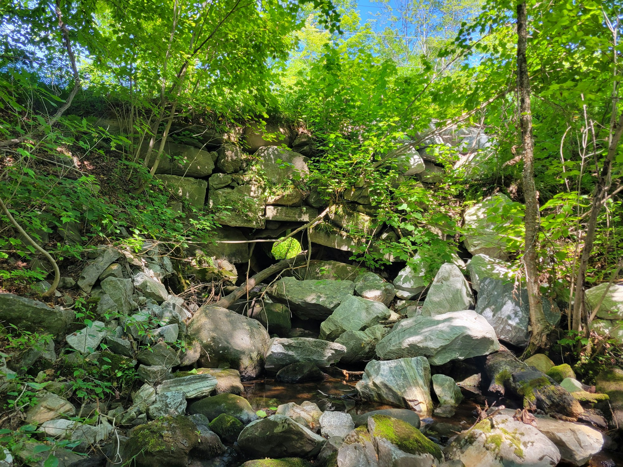 A rocky area with lush green foliage and trees, alongside a small stream running through the stones. Sunlight is visible.