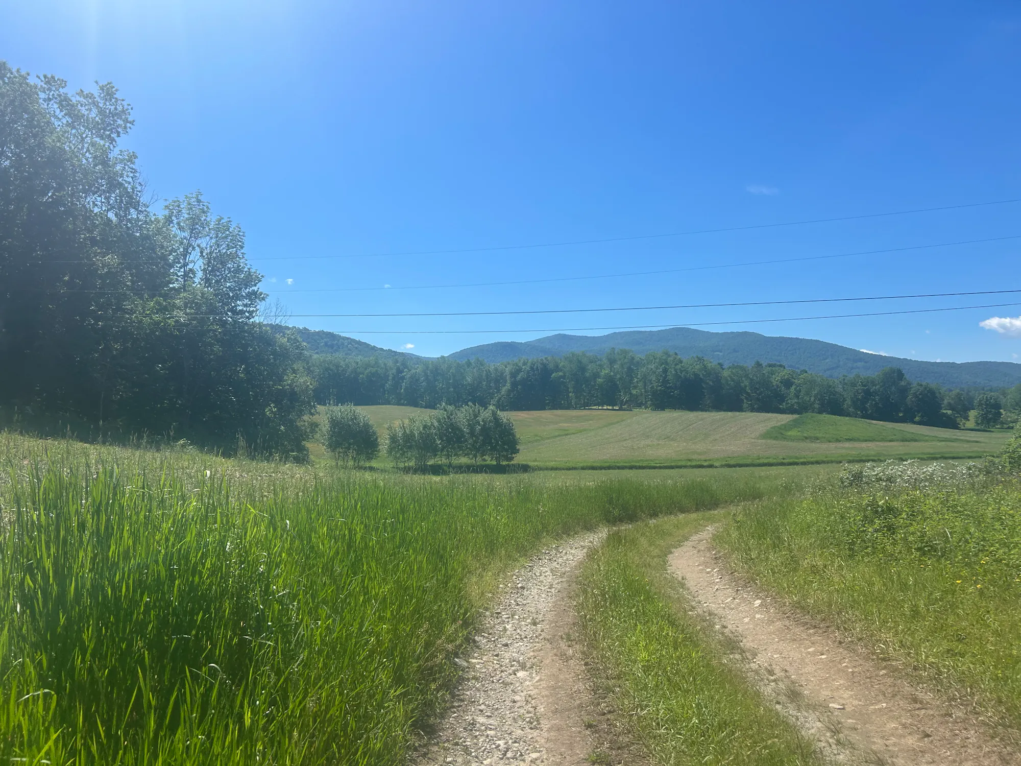 A scenic rural landscape featuring a dirt path winding through green fields and trees, set against a sunny blue sky and mountains.