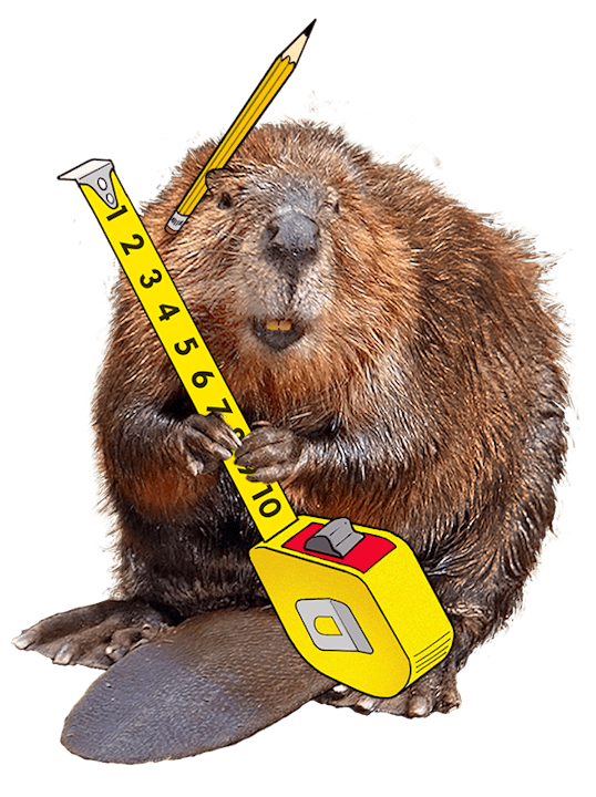 A beaver holding a measuring tape with a pencil on its head, combining animal imagery with a playful, construction theme.