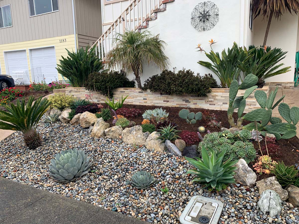 A rock garden with succulents, cacti, and decorative stones in a yard, bordered by a tiled wall and staircase near a house.