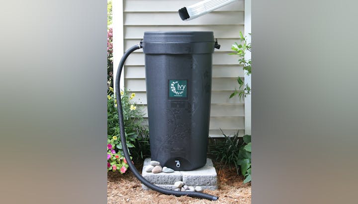 The image shows a dark rain barrel with a hose, positioned among flowers and plants beside a house.