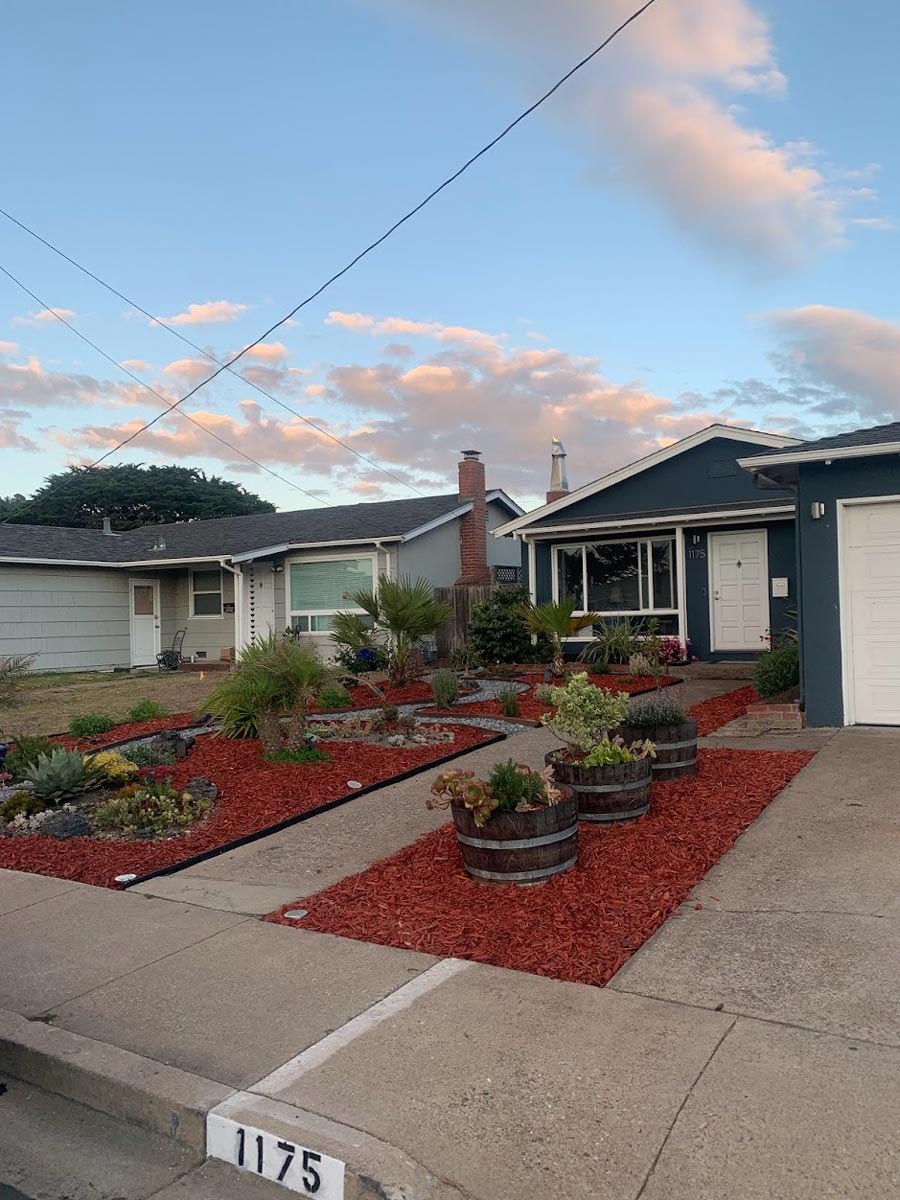 Suburban houses with landscaped front yards, featuring plants in pots and red mulch, under a blue sky with clouds. House number 1175 visible.