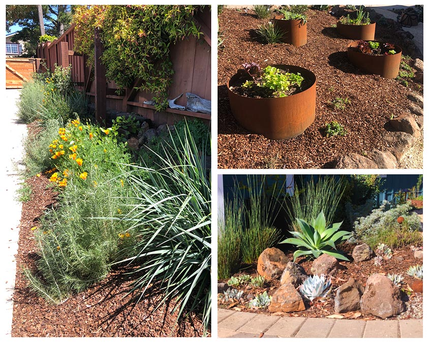Garden with various plants, brown mulch, metal planters, rocks, and different greenery arrangements.