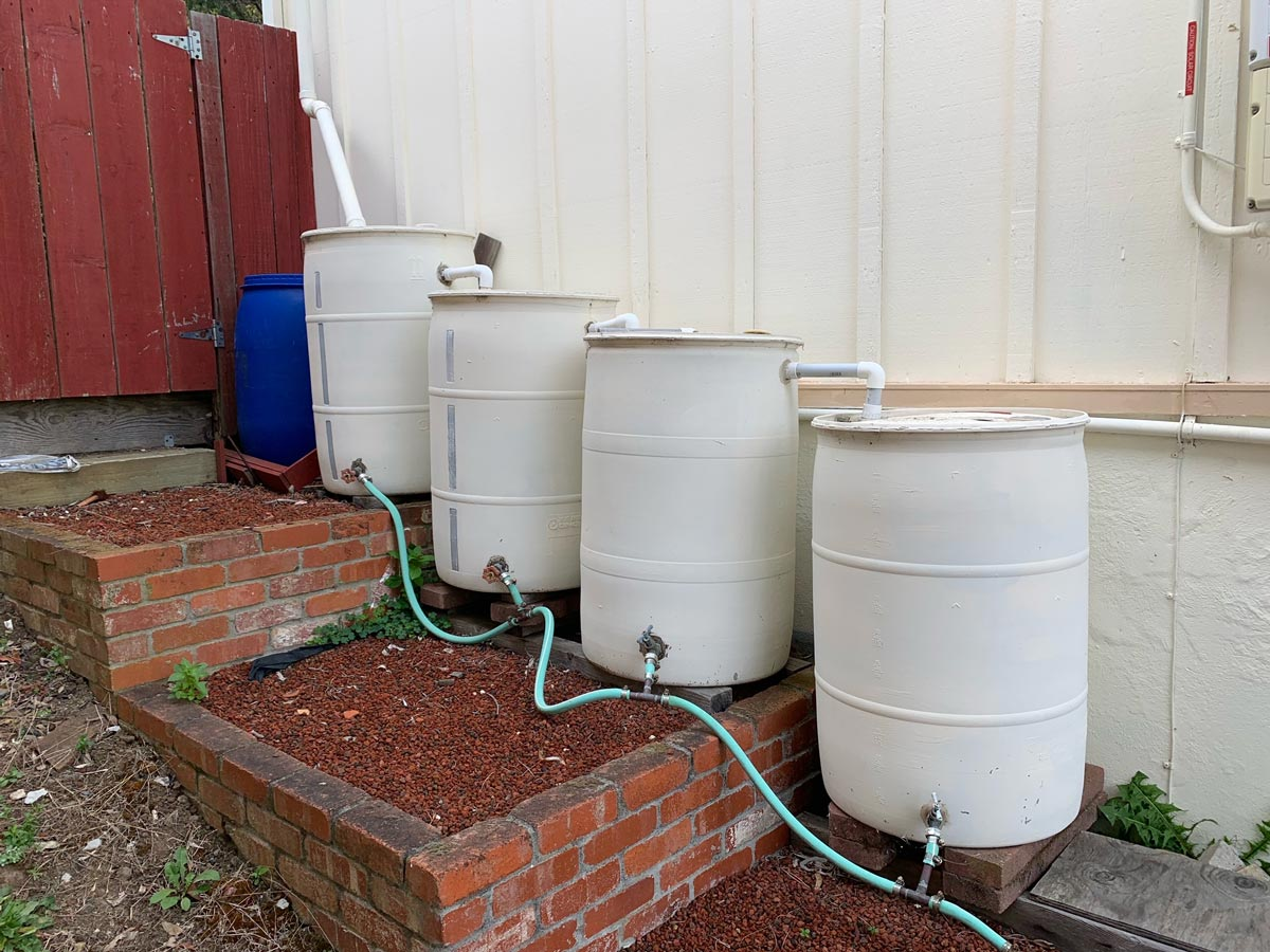 Four white rain barrels connected with hoses and pipes, next to a blue barrel, on brick steps by a wall.
