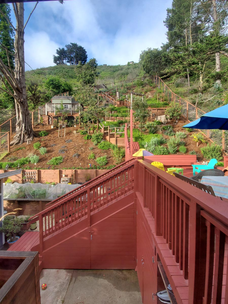 Terraced garden with wooden steps, a deck with colorful chairs, and lush greenery on a hillside under a bright sky.