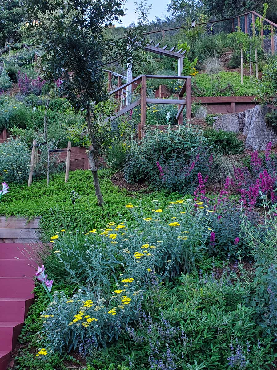 Terraced garden with colorful flowers, wooden stairs, and lush greenery.