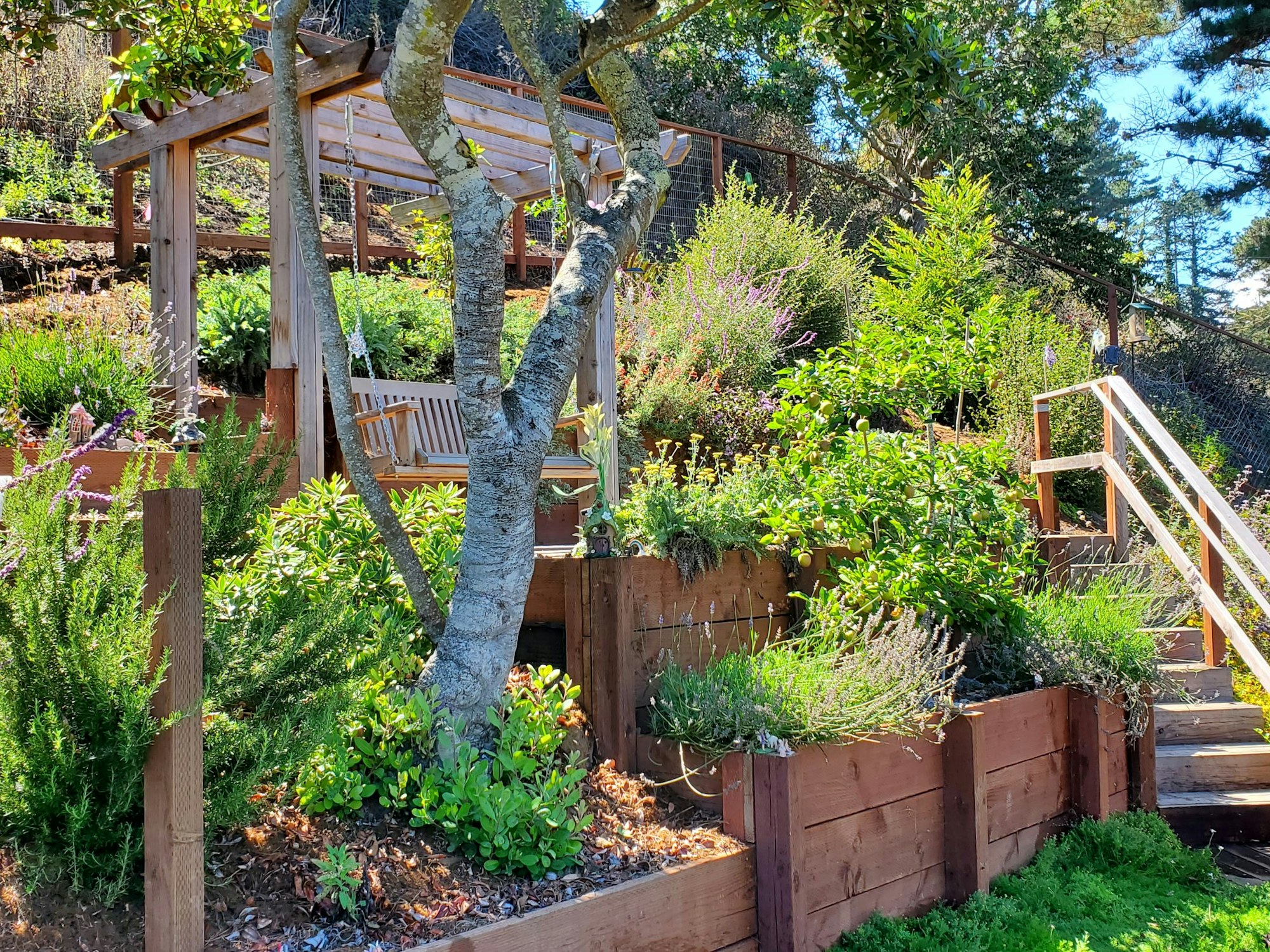 A serene garden with raised beds, vibrant plants, a wooden swing, and steps leading up a hillside.