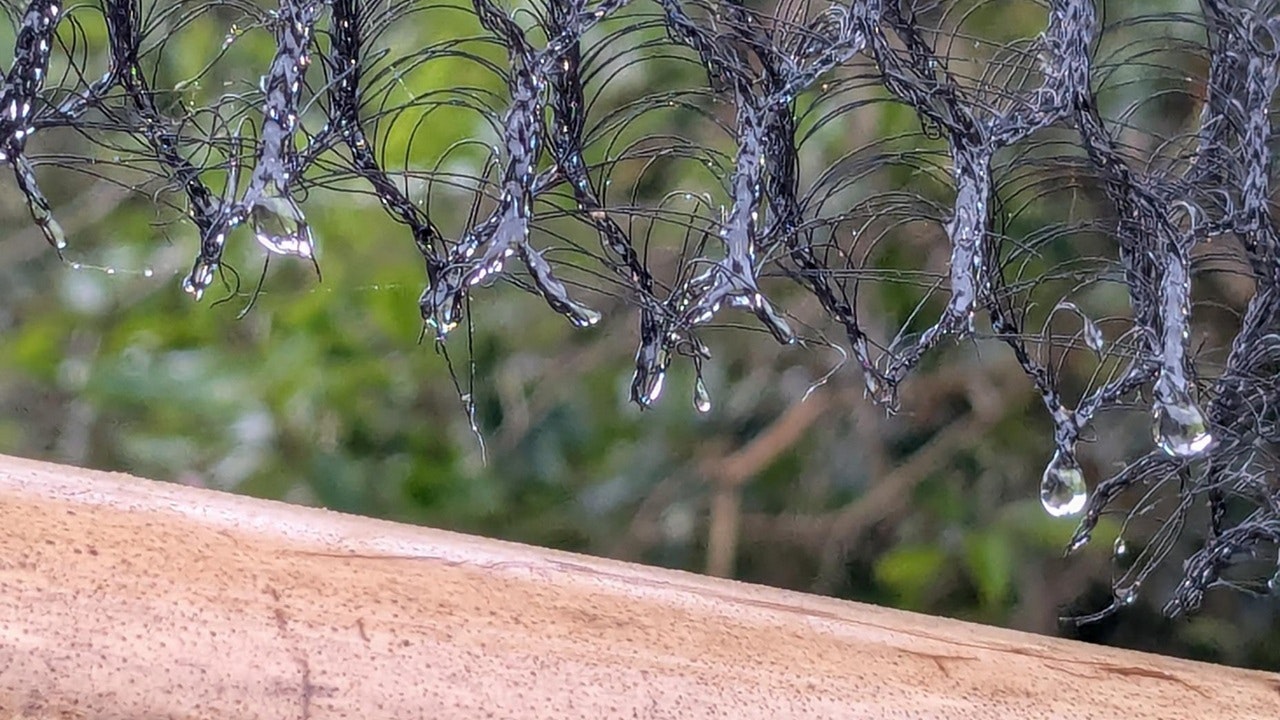 The image shows close-up strands of material with droplets of water, suspended against a blurred green background.