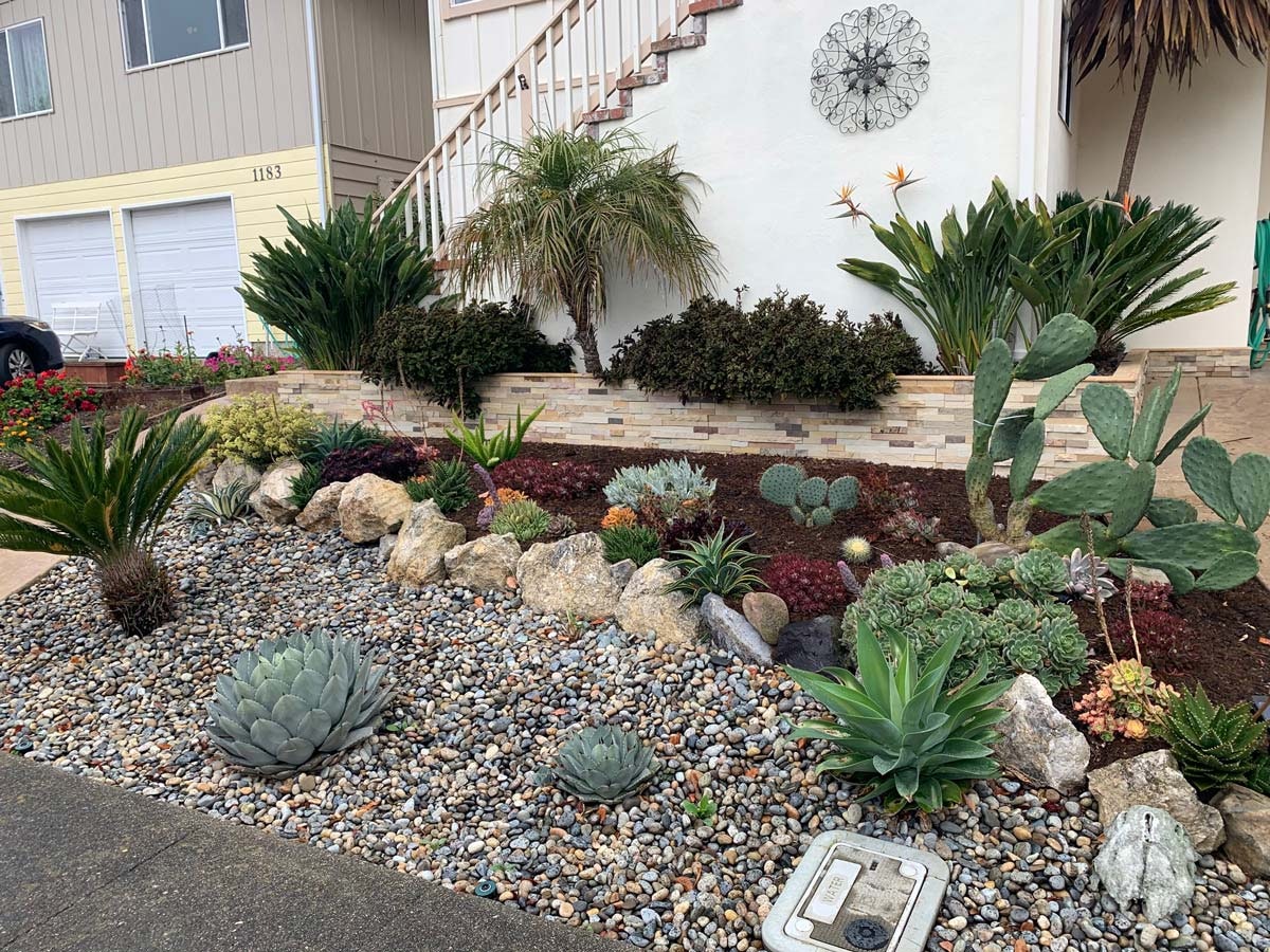 A beautifully landscaped front yard featuring various succulents, rocks, and plants, with a decorative wall and stairs.