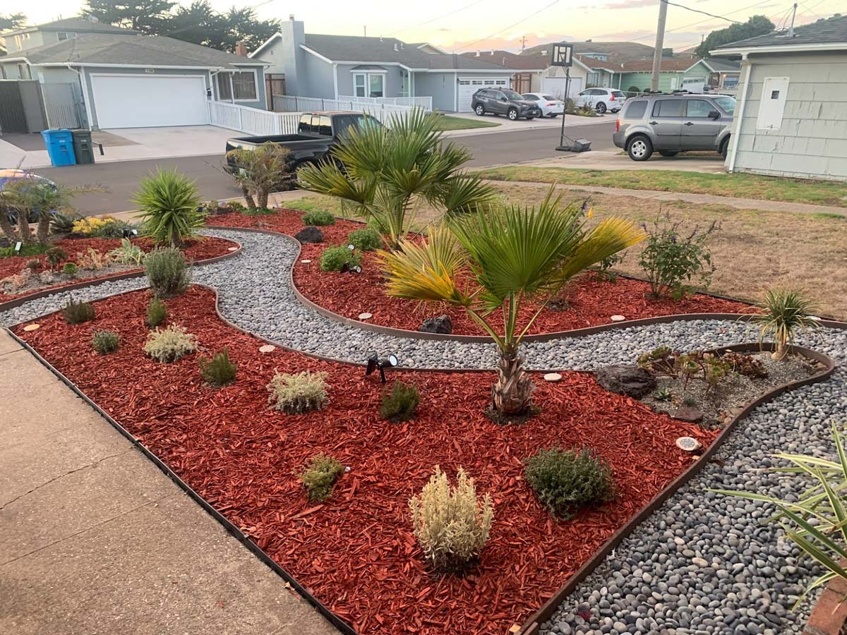A landscaped yard with red mulch, gravel paths, various plants, and trees. Cars and houses in the background.