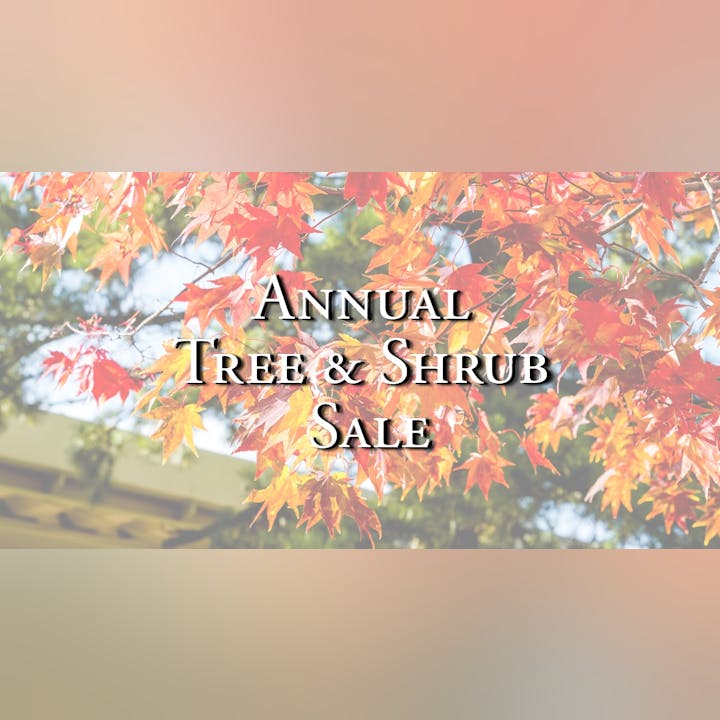 Text "Annual Tree & Shrub Sale" over a background of autumn leaves.