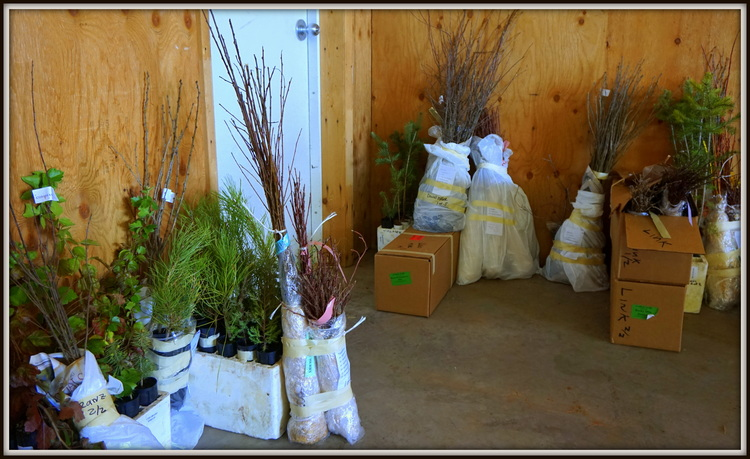 May contain: box, potted plant, pottery, jar, plant, and vase