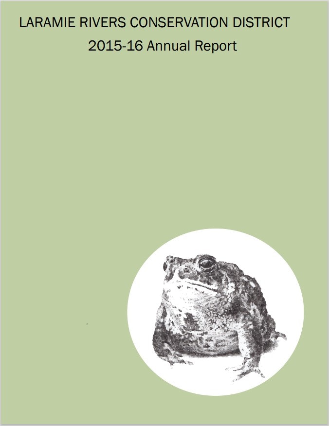 May contain: animal, wildlife, amphibian, toad, and plate