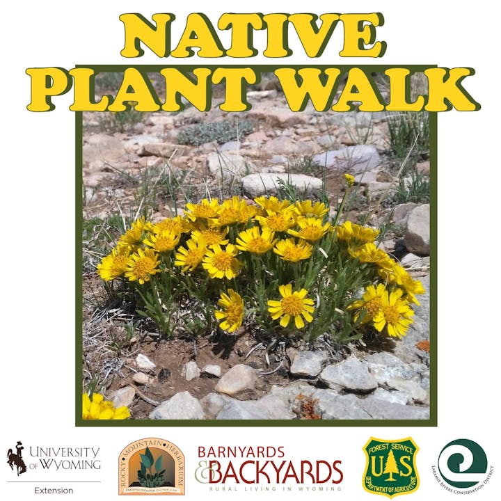 A poster for a "Native Plant Walk" featuring yellow wildflowers, with partner logos from Wyoming organizations.