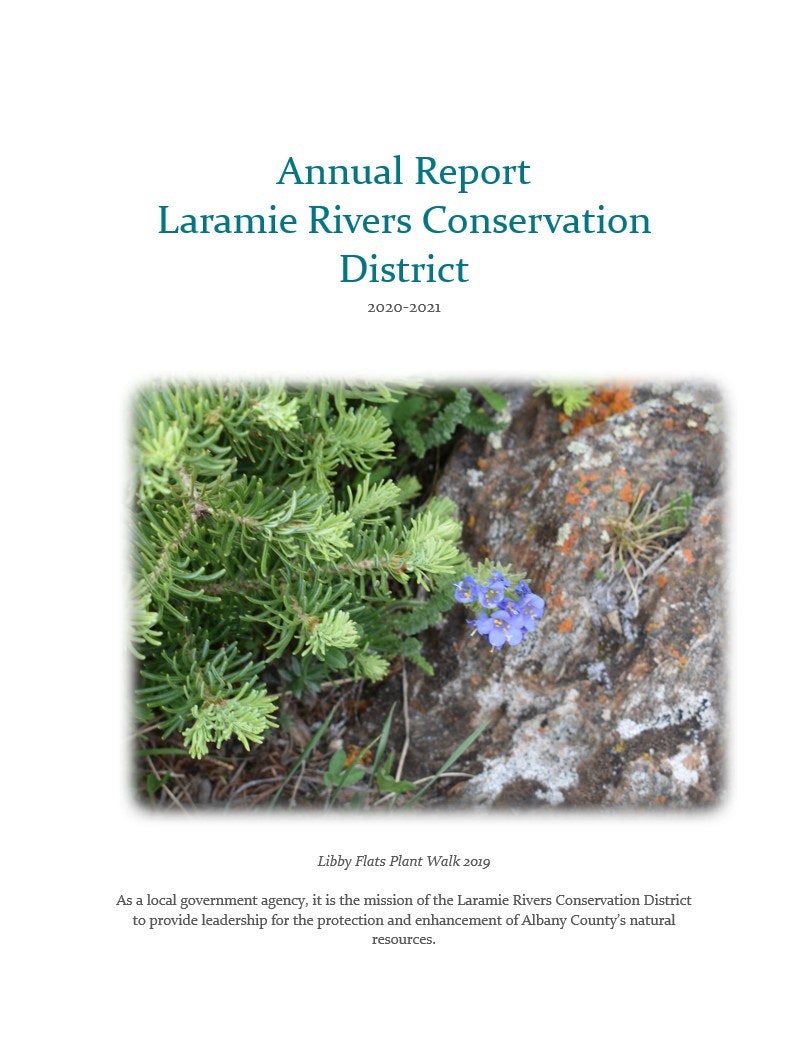 May contain: herbal, herbs, plant, moss, vegetation, flower, geranium, leaf, tree, and petal