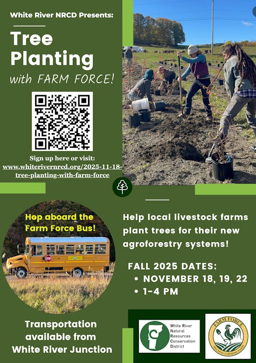 Tree planting event with "Farm Force," Nov 18, 19, 22, 2025, 1-4 PM, transportation from White River Junction. Sign up online.