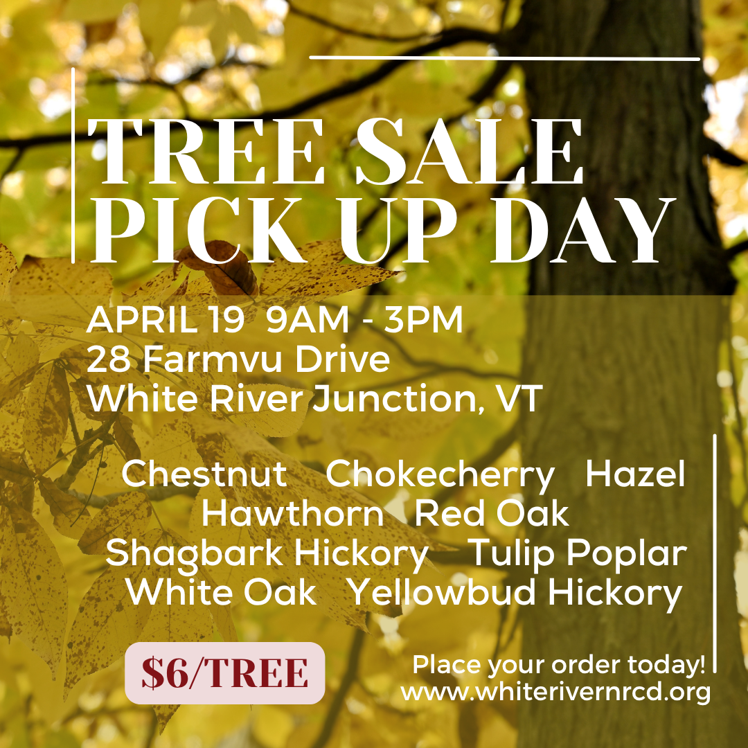 Tree Sale Pick Up Day: April 19, 9AM-3PM, White River Junction, VT. $6/tree. Various tree species available.
