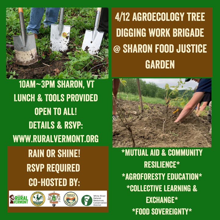 Tree digging event, 4/12, 10AM-3PM, Sharon, VT. Lunch/tools provided. RSVP at ruralvermont.org. Focus on community and agroforestry.