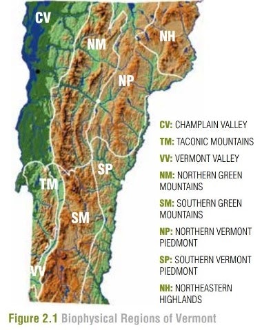 May contain: chart, plot, map, plant, vegetation, atlas, diagram, land, nature, outdoors, rainforest, and tree