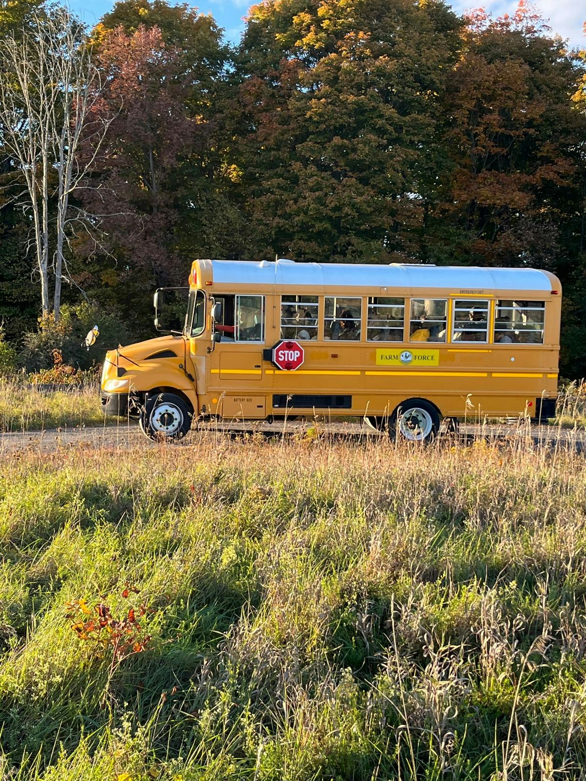 A small yellow school bus parked on a grassy path with trees in the background.
