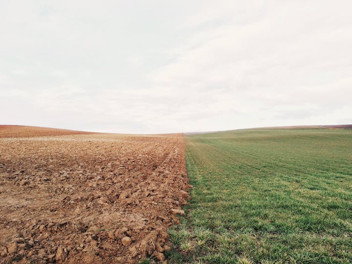 A field split in two, with plowed soil on the left and green grass on the right under a cloudy sky.