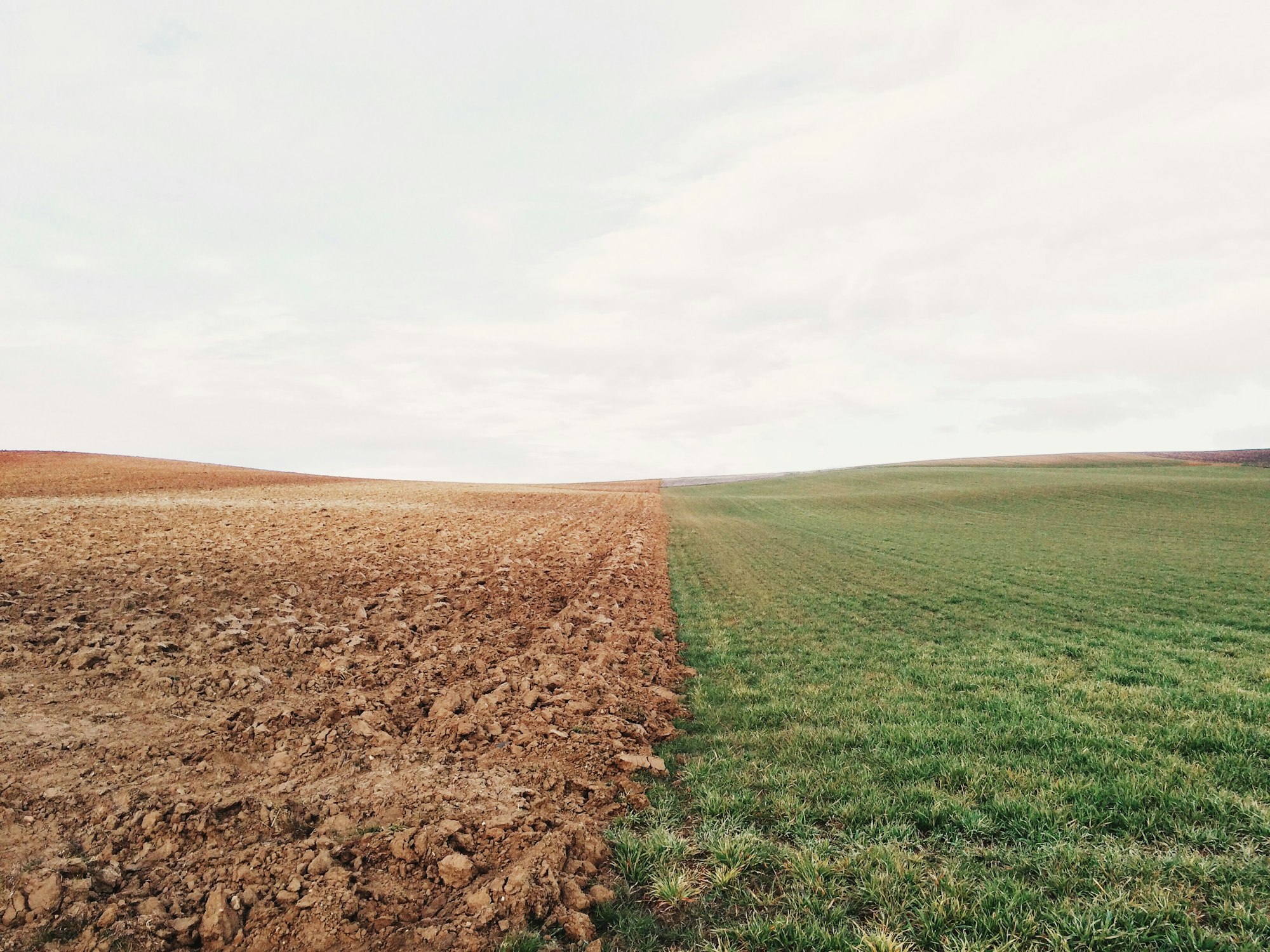 A field split in two, with plowed soil on the left and green grass on the right under a cloudy sky.