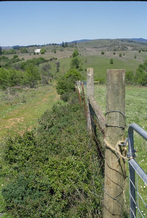 Rural landscape with a fence, fields, trees, and hills under a blue sky.