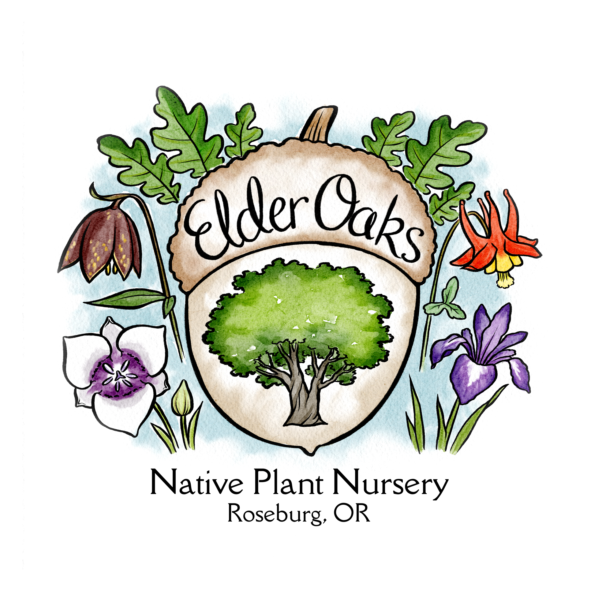 Logo for "Elder Oaks Native Plant Nursery" with illustrations of plants and a tree, located in Roseburg, OR.