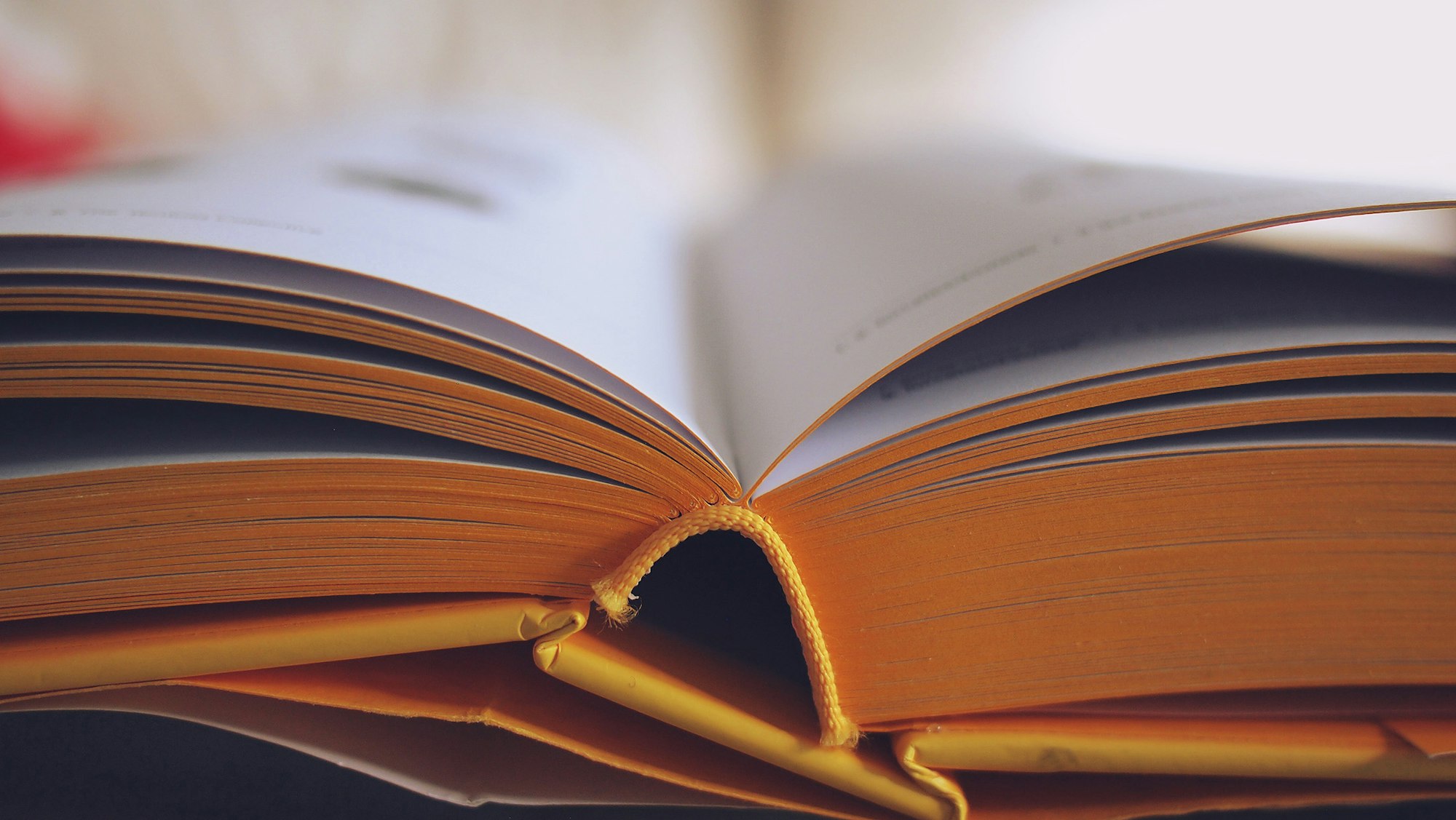 An open book with pages fanned out on a table.