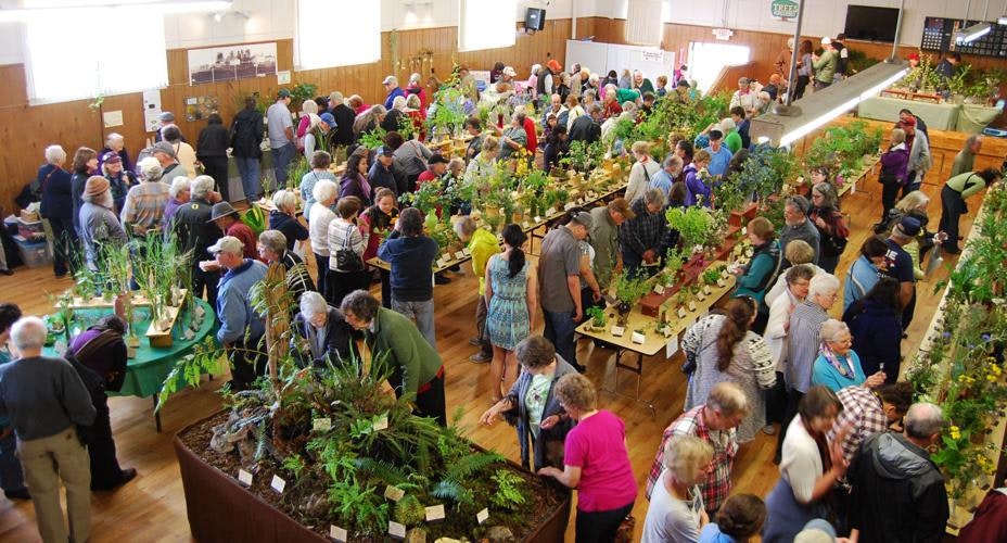 A crowded indoor plant exhibition with people browsing tables filled with various plants and flowers in a large hall.