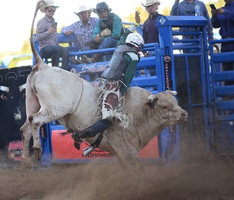 A rodeo bull rider in action, wearing protective gear, amidst an energetic crowd.