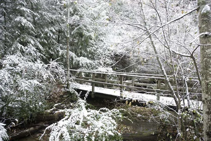 A snow-covered wooden bridge in a forest with snow-laden trees and bushes.