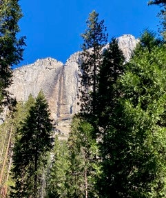A rocky mountain peak with a waterfall, surrounded by tall green pine trees under a clear blue sky.