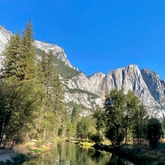 Mountain landscape with trees and a clear blue sky reflected in a calm river.