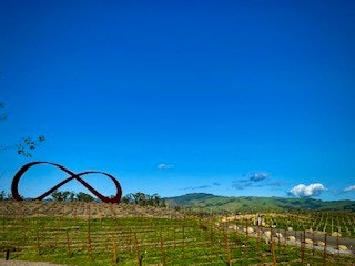 A vineyard with a large sculpture and a clear blue sky.