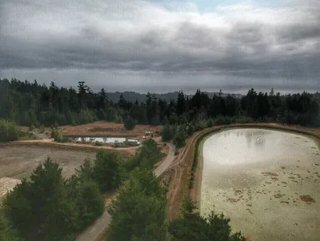 Aerial view of a partially dried water body with surrounding trees under a cloudy sky.