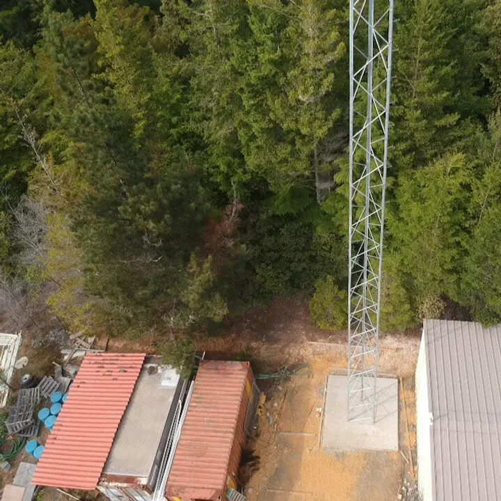 Aerial view of a forest, a tall metal tower, and nearby buildings with rusted roofs.