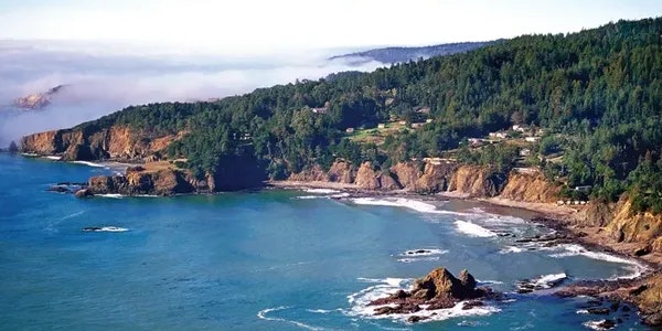 Coastline with cliffs, trees, sea, and fog in the distance.