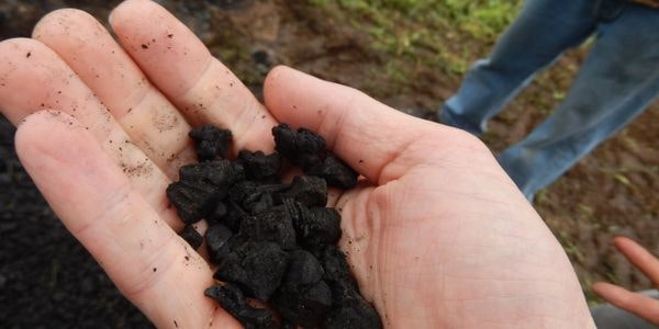 A hand holds small pieces of black charcoal-like material outdoors.