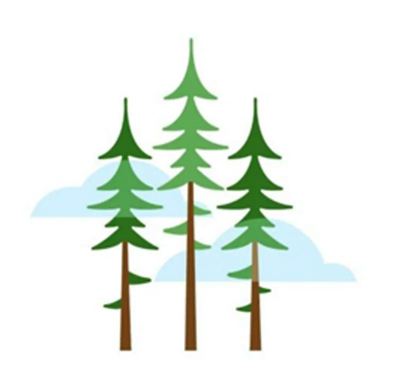 Three cartoon pine trees with blue clouds in the background.