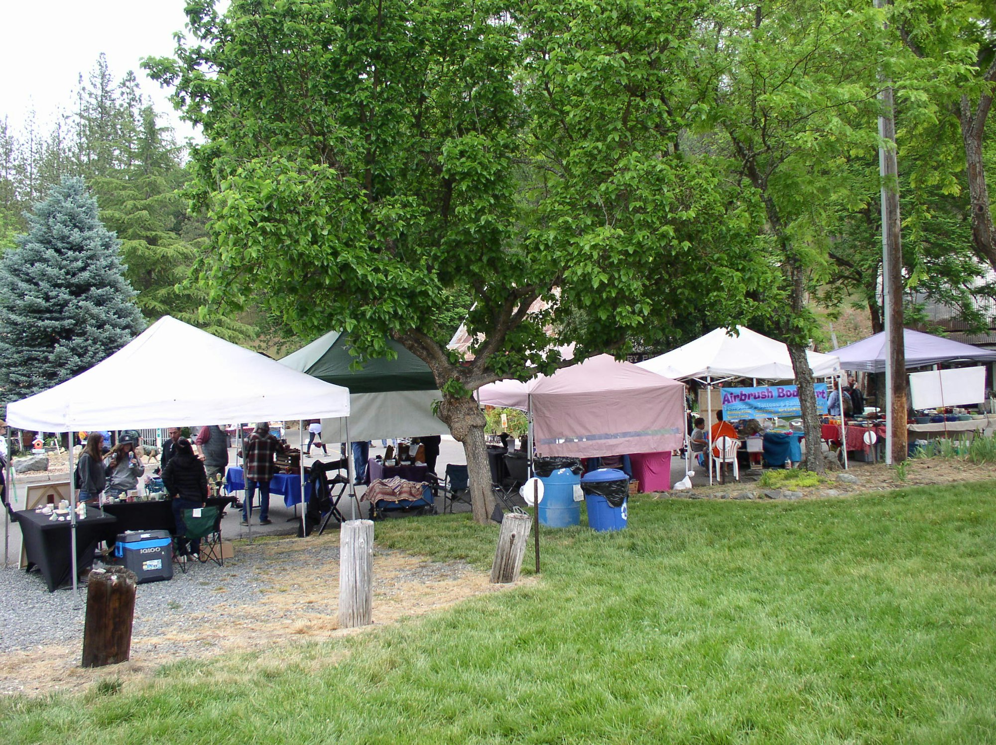 May contain: person, human, tent, meal, food, tree, and plant
