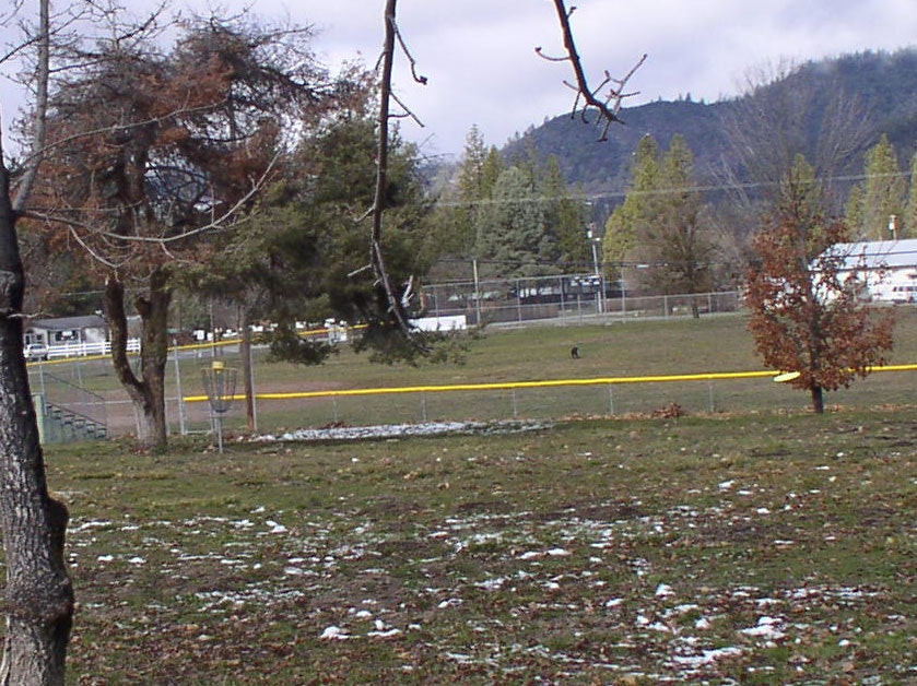 Pavilion 47
