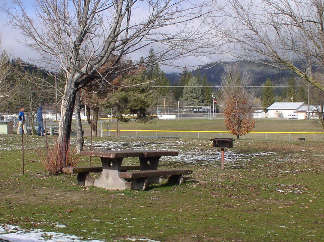 May contain: bench, furniture, grass, nature, outdoors, park, plant, tree, and person