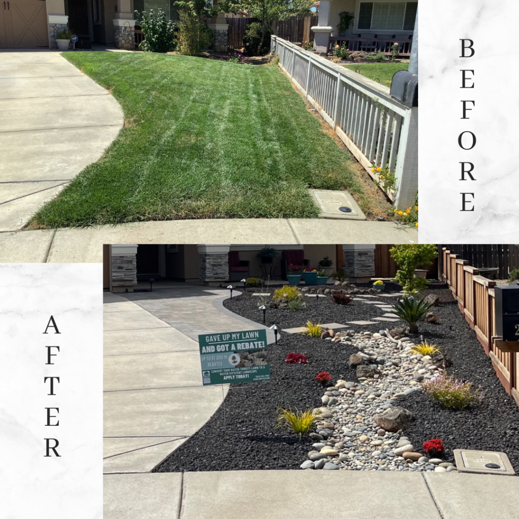 Before: Lawn with grass. After: Xeriscape garden with rocks, plants, and a sign about a lawn rebate.