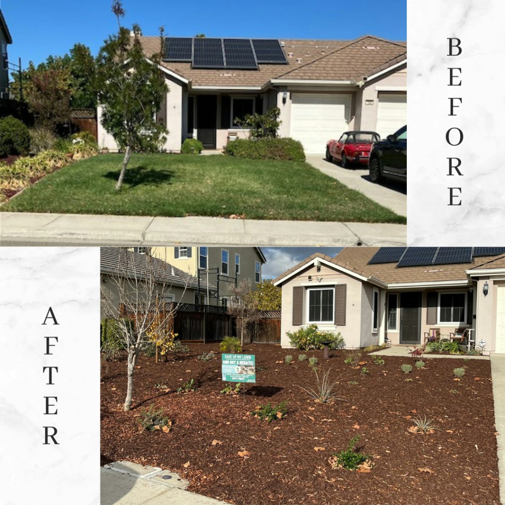 Two images of a house: "Before" with grass lawn, "After" with mulch and plants.
